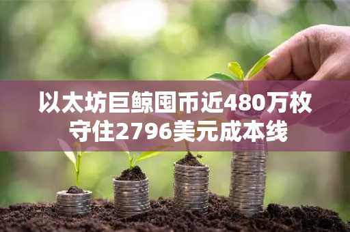 以太坊巨鲸囤币近480万枚 守住2796美元成本线