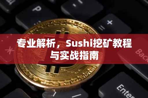 专业解析，Sushi挖矿教程与实战指南