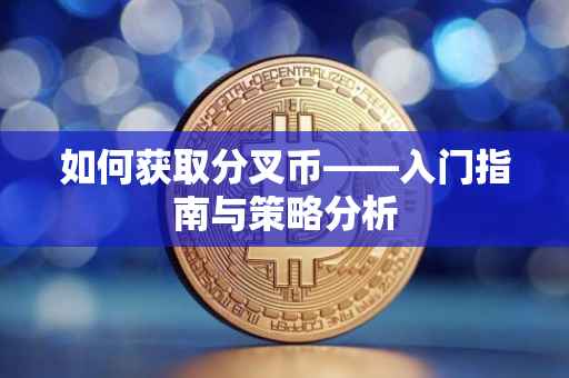 如何获取分叉币——入门指南与策略分析