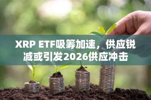 XRP ETF吸筹加速，供应锐减或引发2026供应冲击