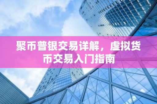 聚币普银交易详解，虚拟货币交易入门指南