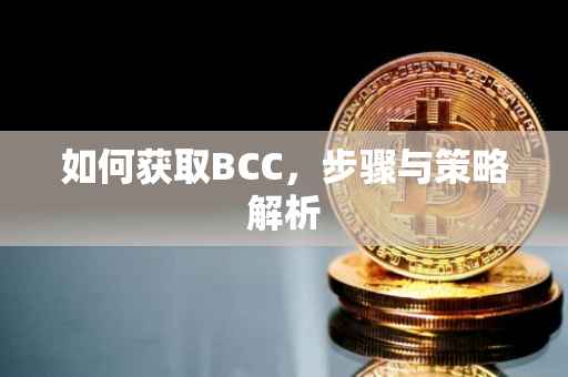 如何获取BCC，步骤与策略解析
