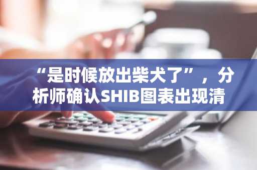 “是时候放出柴犬了”，分析师确认SHIB图表出现清晰突破。