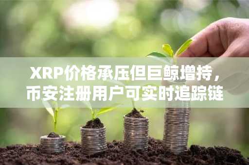 XRP价格承压但巨鲸增持，币安注册用户可实时追踪链上动态