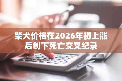 柴犬价格在2026年初上涨后创下死亡交叉纪录