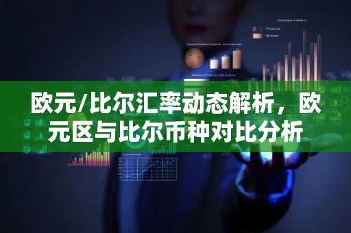 欧元/比尔汇率动态解析，欧元区与比尔币种对比分析