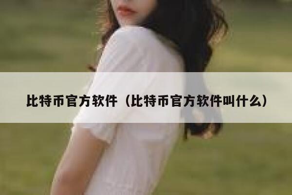 比特币官方软件（比特币官方软件叫什么）