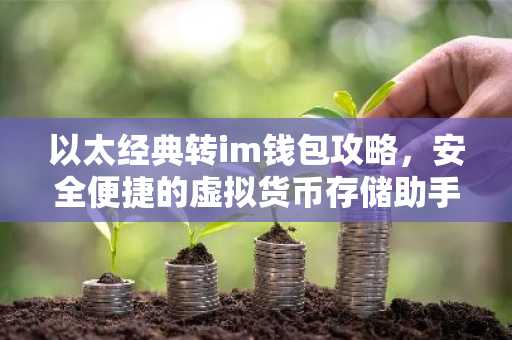 以太经典转im钱包攻略，安全便捷的虚拟货币存储助手