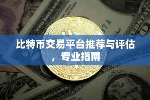 比特币交易平台推荐与评估，专业指南