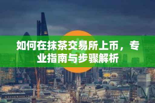 如何在抹茶交易所上币，专业指南与步骤解析