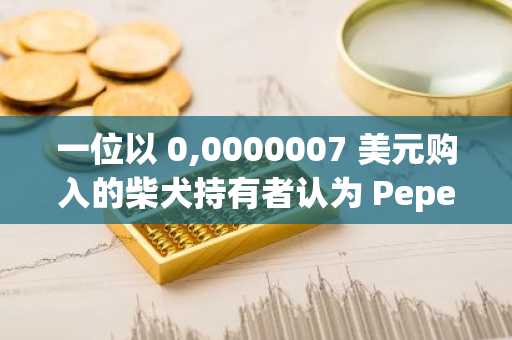 一位以 0,0000007 美元购入的柴犬持有者认为 Pepeto 是下一个价值 100 倍的表情包币！