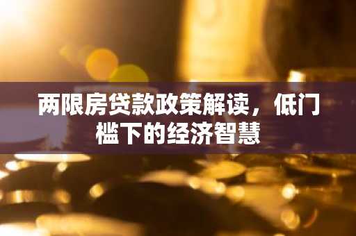 两限房贷款政策解读，低门槛下的经济智慧