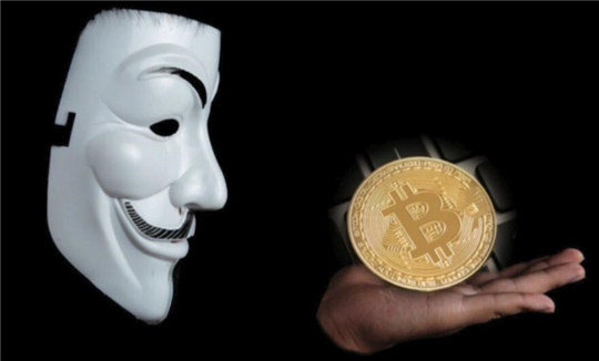 中本聪币钱包APP中文版 中本聪币官网下载地址