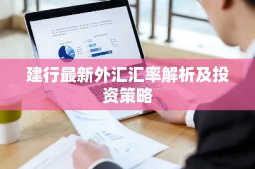 建行最新外汇汇率解析及投资策略