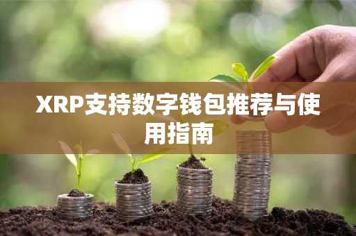 XRP支持数字钱包推荐与使用指南