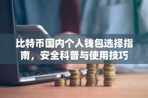 比特币国内个人钱包选择指南，安全科普与使用技巧