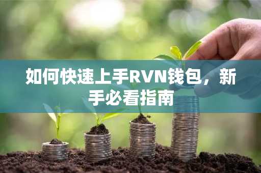 如何快速上手RVN钱包，新手必看指南