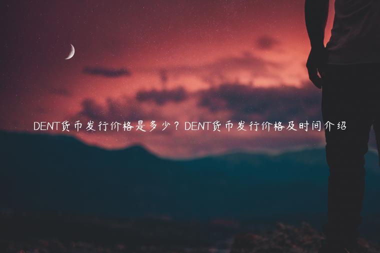 DNT货币发行价格是多少？DNT货币发行价格及时间介绍