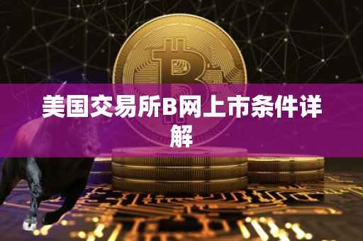 美国交易所B网上市条件详解