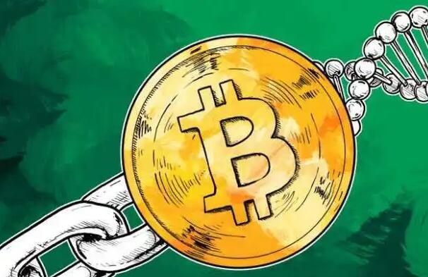 维卡币网页版下载注册地址 维卡币下载