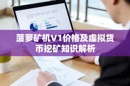 菠萝矿机V1价格及虚拟货币挖矿知识解析