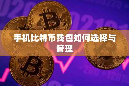 手机比特币钱包如何选择与管理