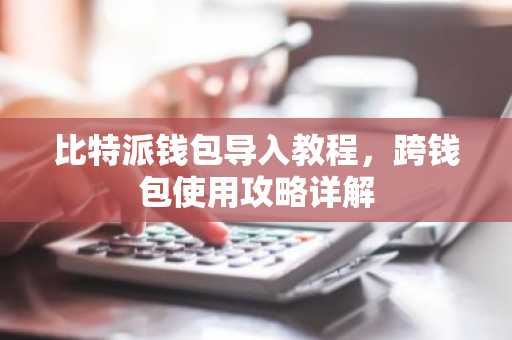 比特派钱包导入教程，跨钱包使用攻略详解