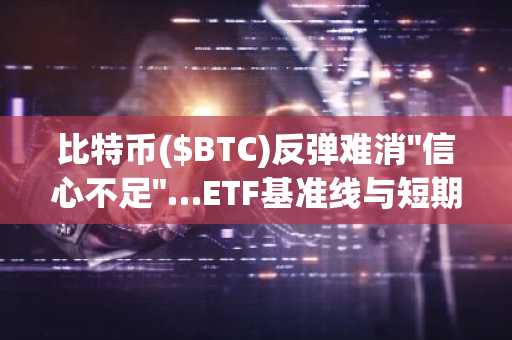 比特币($BTC)反弹难消"信心不足"…ETF基准线与短期购入成本成关键分水岭