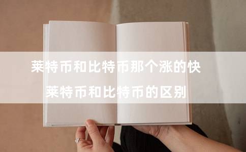 莱特币和比特币那个涨的快（莱特币和比特币的区别）