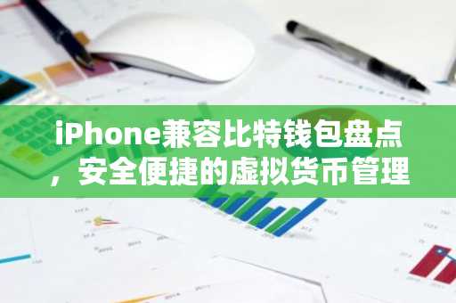 iPhone兼容比特钱包盘点，安全便捷的虚拟货币管理助手