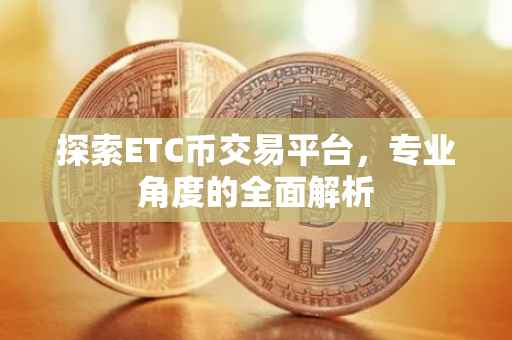 探索ETC币交易平台，专业角度的全面解析