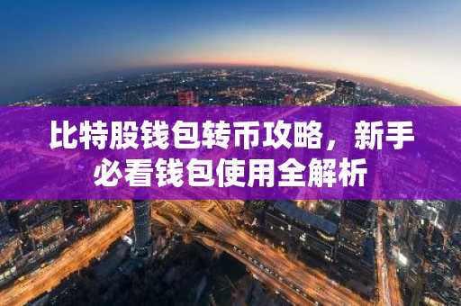 比特股钱包转币攻略，新手必看钱包使用全解析