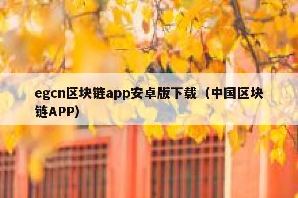 gcn区块链app安卓版下载（中国区块链APP）