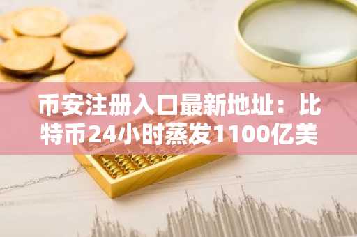 币安注册入口最新地址：比特币24小时蒸发1100亿美元