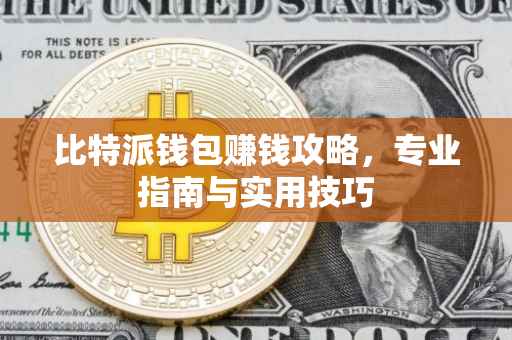 比特派钱包赚钱攻略，专业指南与实用技巧