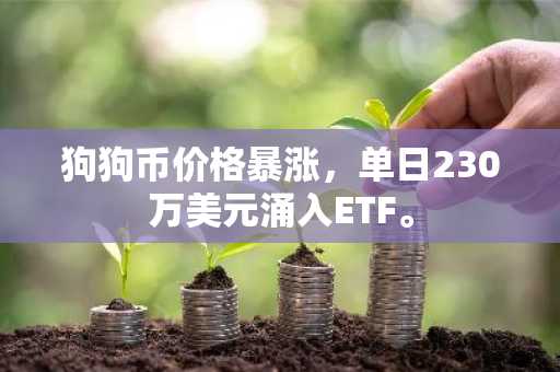 狗狗币价格暴涨，单日230万美元涌入ETF。