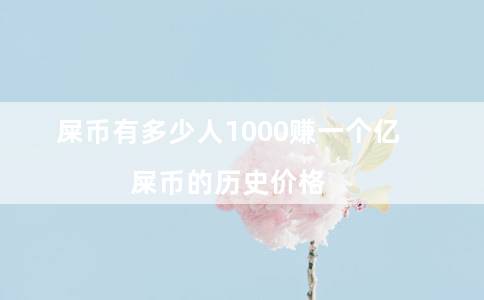 屎币有多少人1000赚一个亿（屎币的历史价格）