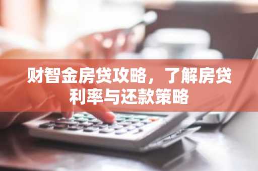 财智金房贷攻略，了解房贷利率与还款策略