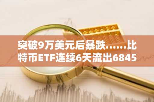 突破9万美元后暴跌……比特币ETF连续6天流出6845亿韩元