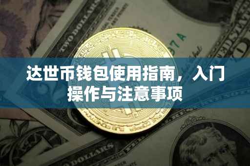 达世币钱包使用指南，入门操作与注意事项