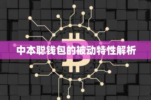 中本聪钱包的被动特性解析