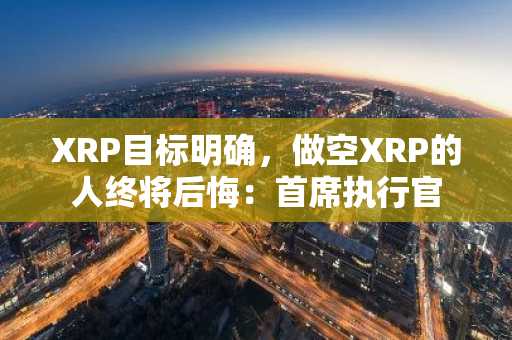 XRP目标明确，做空XRP的人终将后悔：首席执行官