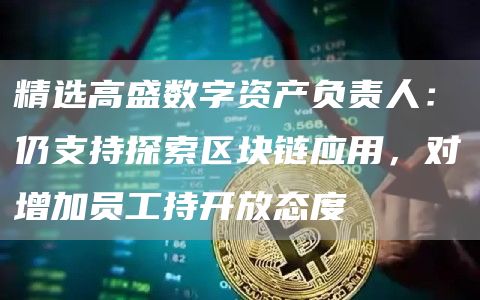 精选高盛数字资产负责人：仍支持探索区块链应用，对增加员工持开放态度