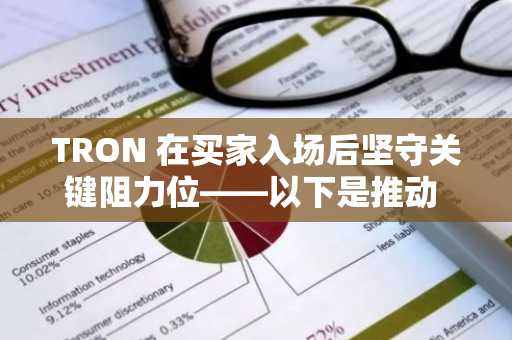 TRON 在买家入场后坚守关键阻力位——以下是推动 TRX 上涨的因素