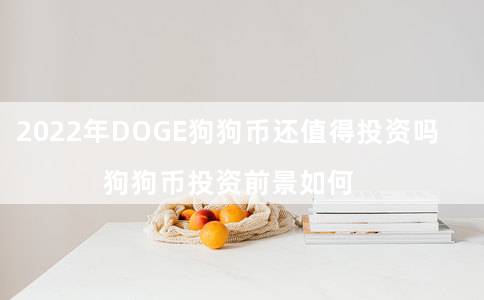 2022年DOGE狗狗币还值得投资吗（狗狗币投资前景如何）