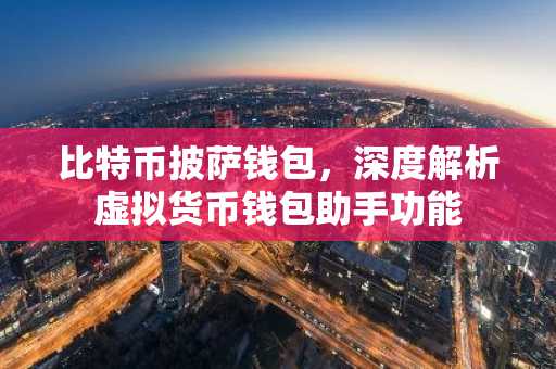 比特币披萨钱包，深度解析虚拟货币钱包助手功能