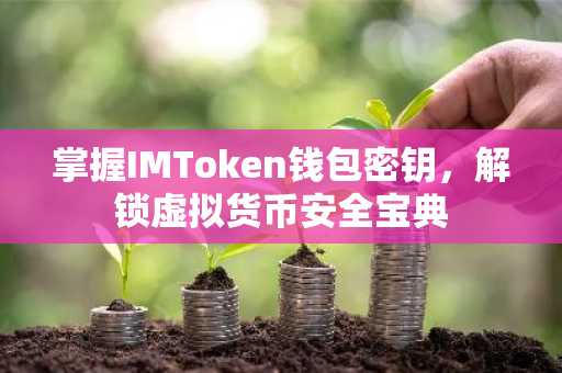 掌握IMToken钱包密钥，解锁虚拟货币安全宝典