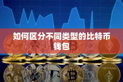 如何区分不同类型的比特币钱包