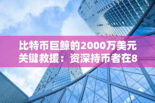 比特币巨鲸的2000万美元关键救援：资深持币者在8300万美元亏损中成功规避清算